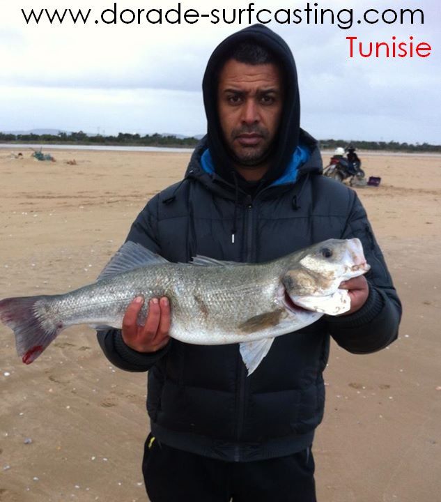 accueil - Articles de Peche Tunisie