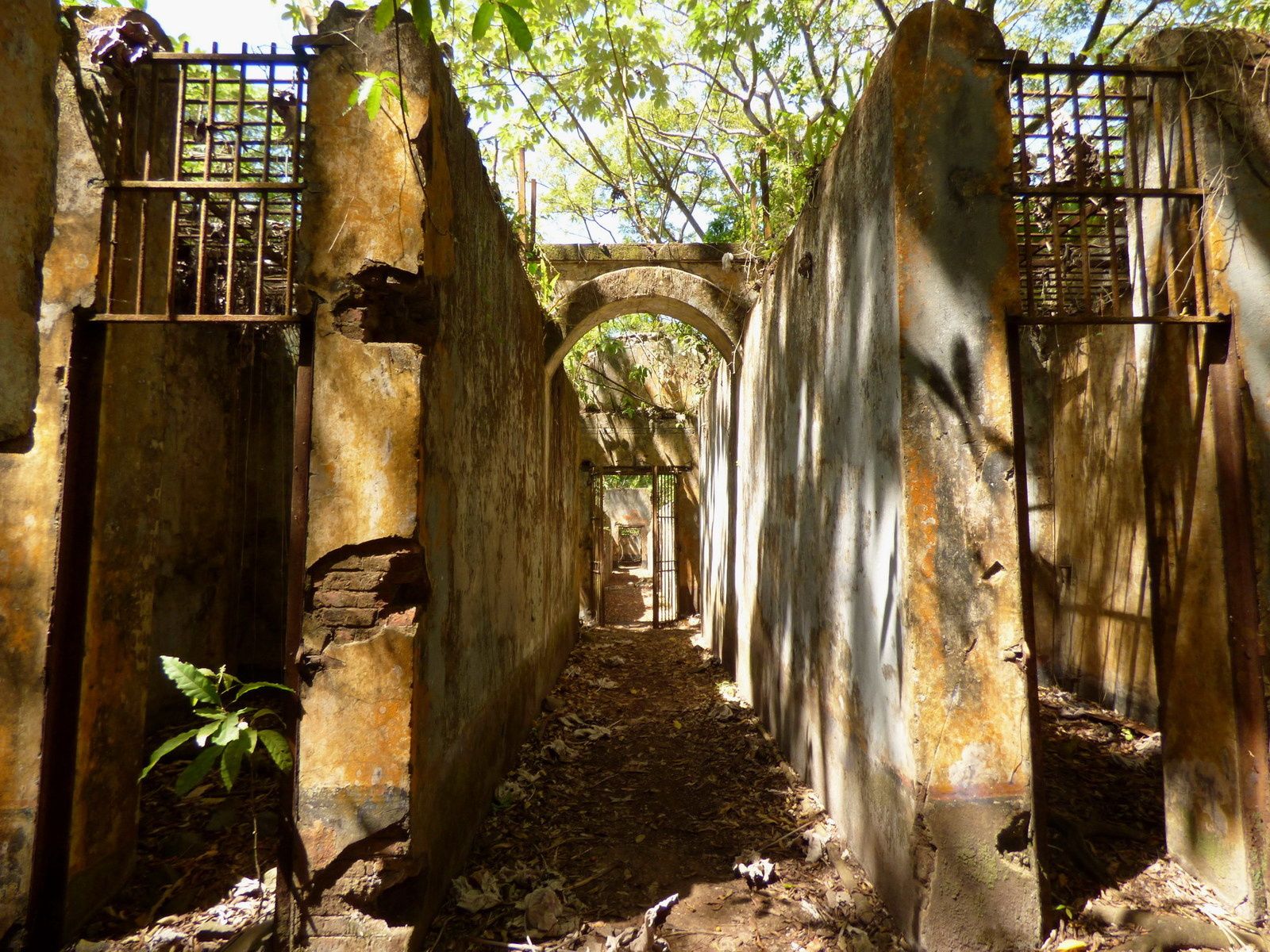 Iles du salut La Guyane et ailleurs...