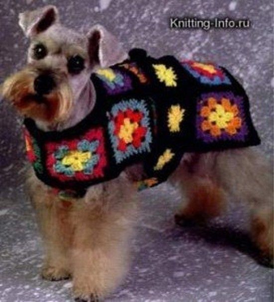 modele manteau chien crochet