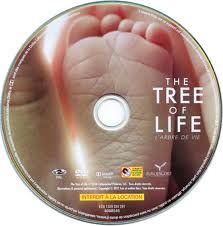 Les jaquettes du dvd : The tree of life - 2011