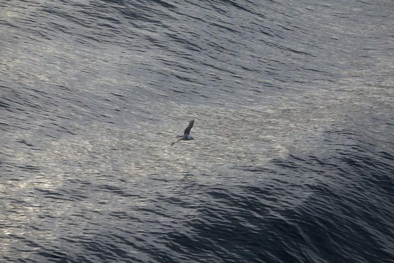 océan arctique océan arctique