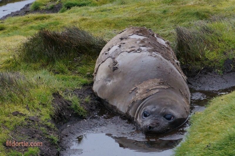 photo antarctique photo antarctique