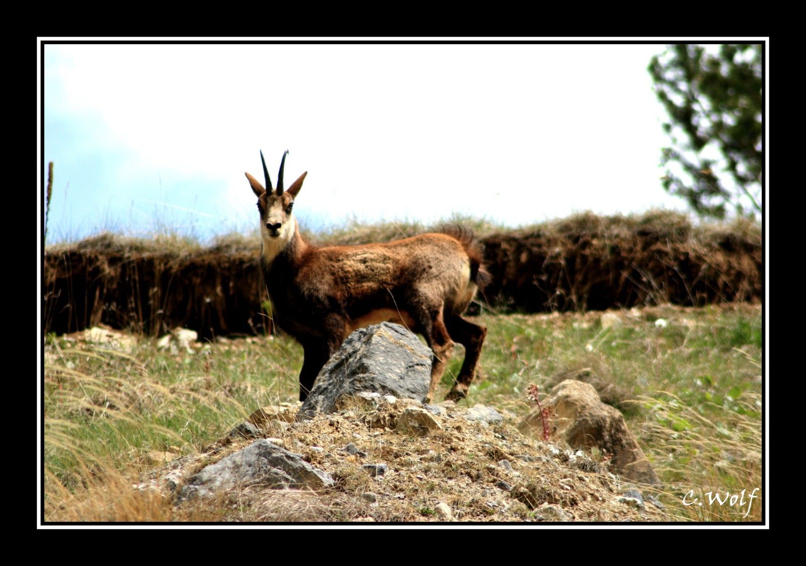 il y a des rencontres