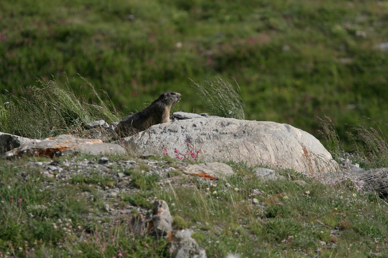 Région Savoie Le blog de Johannès Jean Pierre Photo