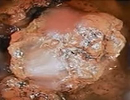 Grain de corium (Capture d’écran vidéo Tepco)
