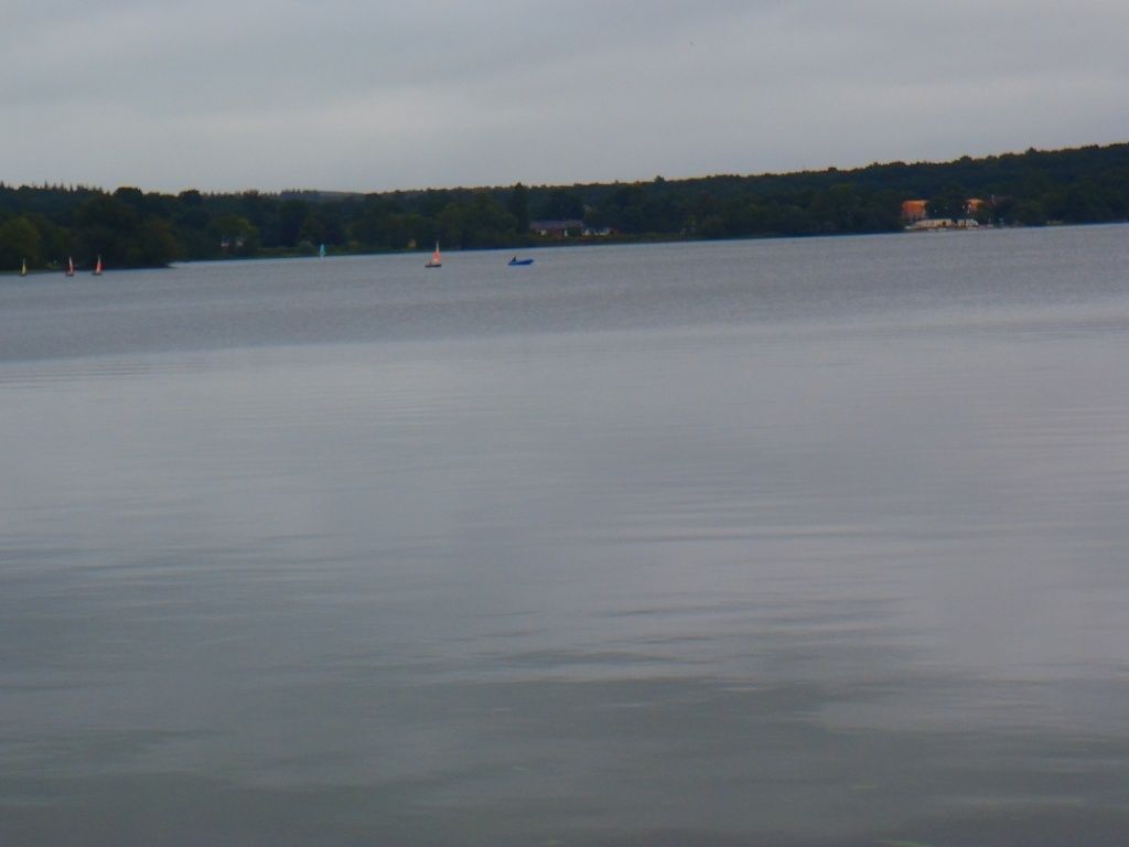 point rencontre nord roubaix