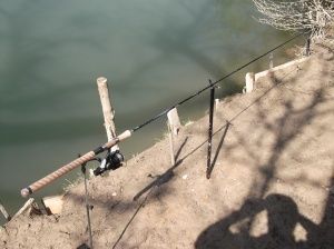 Forum Pêche Compétition