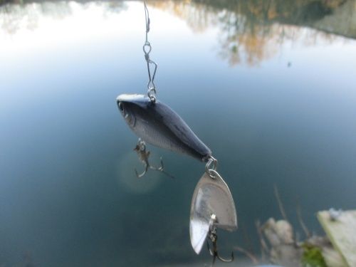 La pêche sur la carpe sur le feeder de vidéo
