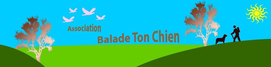 Balade Ton Chien