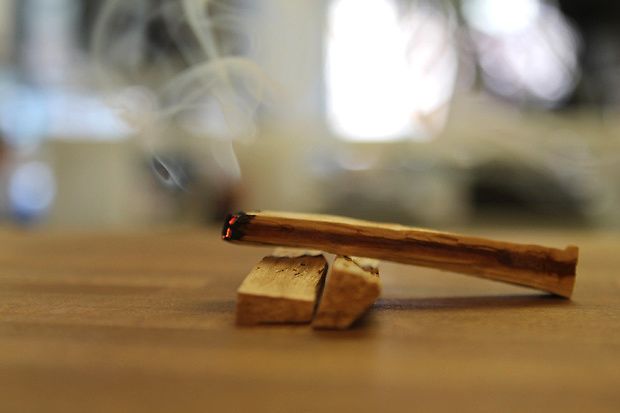 Le Palo Santo