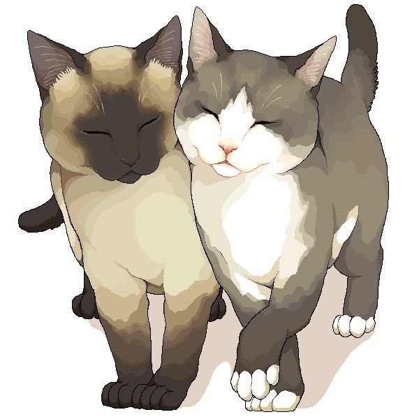 petite chatte ado hurle de plaisir petite chatte ado hurle de plaisir