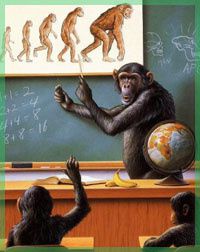 Théorie de l'évolution : Science ou Croyance ? (Docu) [VF]