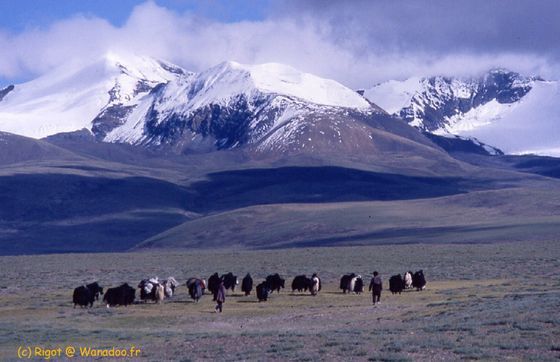  Le troisième pôle, voyage aux fins fonds du Tibet (Doc) [VF]