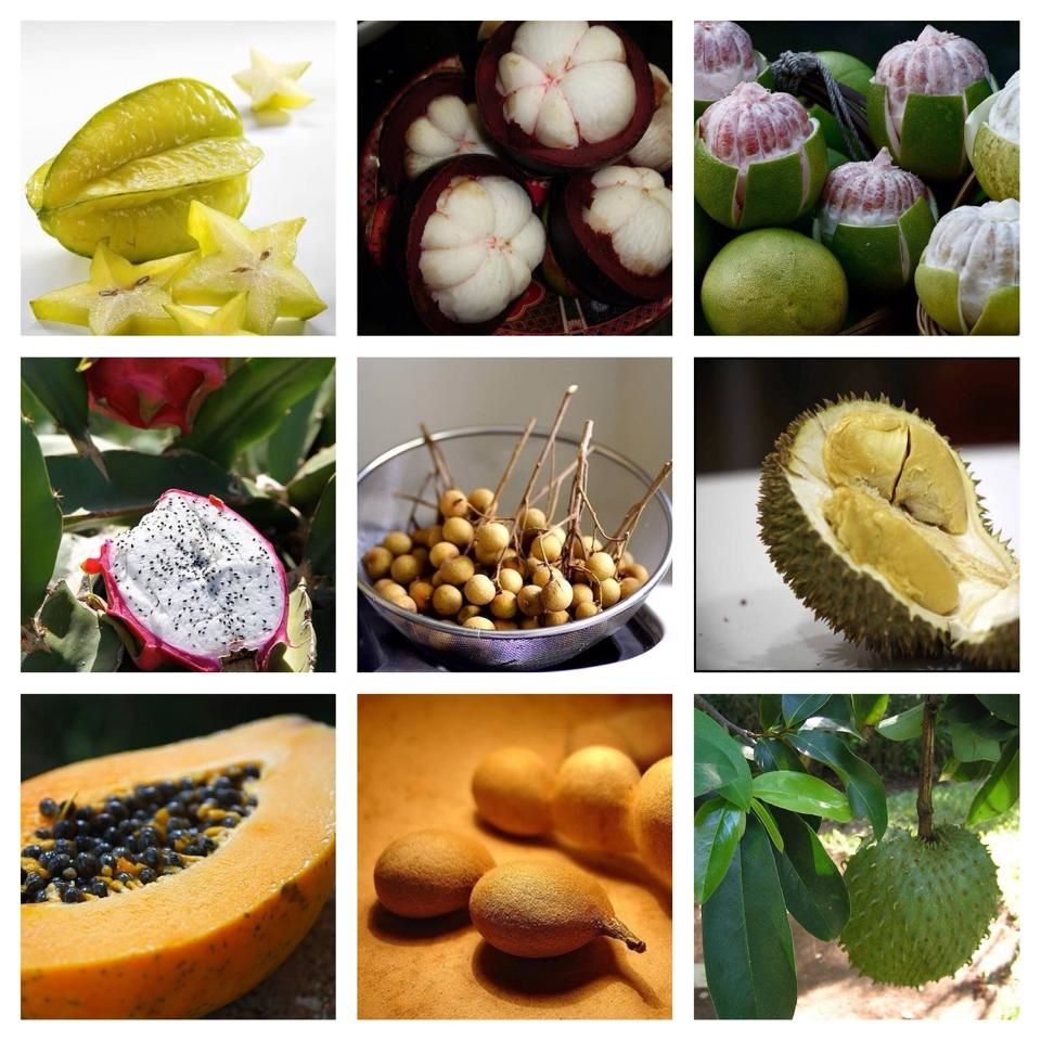 Les Fruits D Asie Itada Kimasu