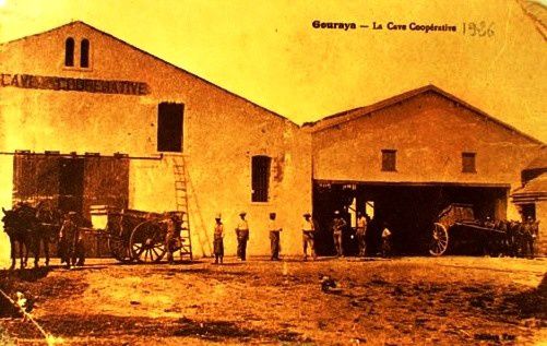 Cave coopérative de Gouraya, créée en 1907.
