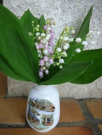 plantes toxiques - Le blog de lachataignesauvage plantes toxiques - Le blog de lachataignesauvage