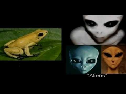 Avis de la plus haute importance à vous toutes et tous mes amis(es)... Ob_8ff8f1_hqdefault