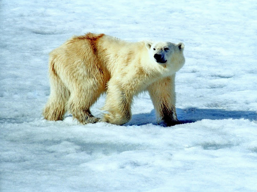 et j imagine un voyage une rencontre