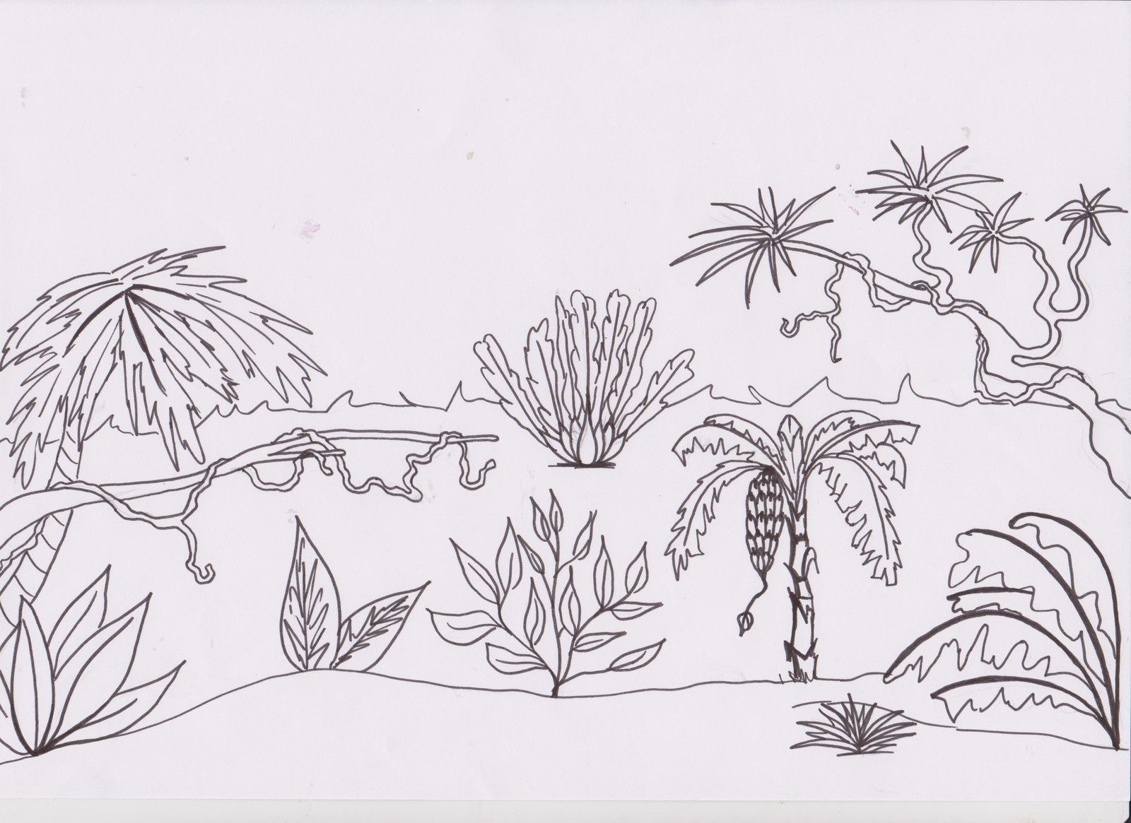 Dessin Decors Champs Dessin Decors Champs
