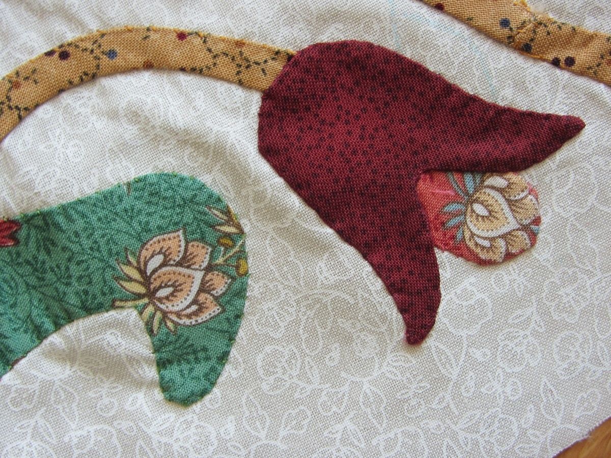 Une tulipe première éclose.