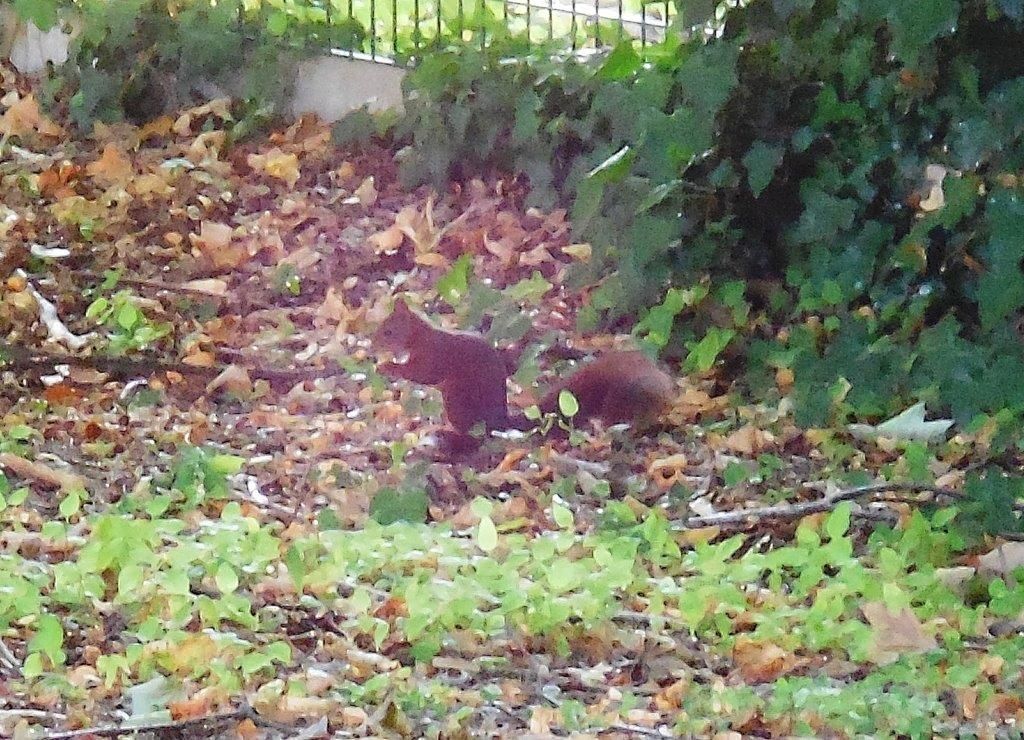 Rencontre improbable