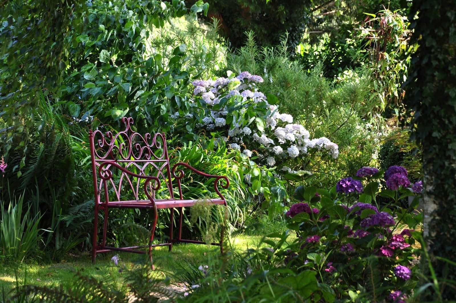 jardin toi et moi une rencontre
