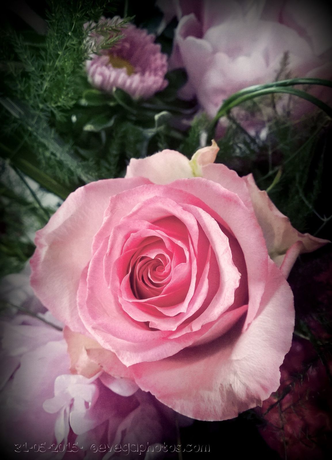 Mon joli bouquet rose...