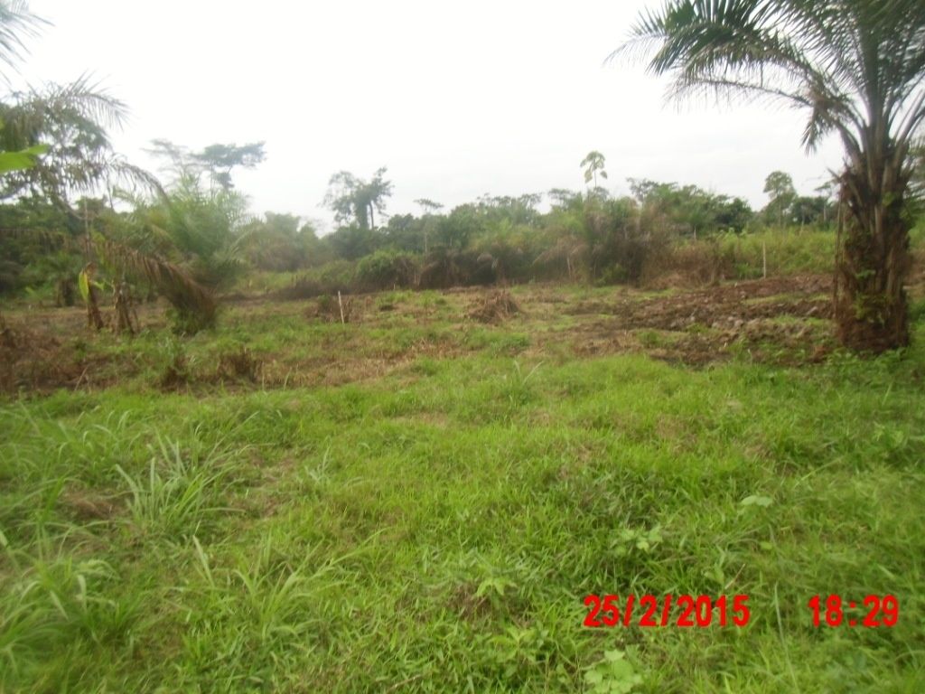 Voici une occasion de faire avancer l'œuvre de Dieu Le Blog qui rend