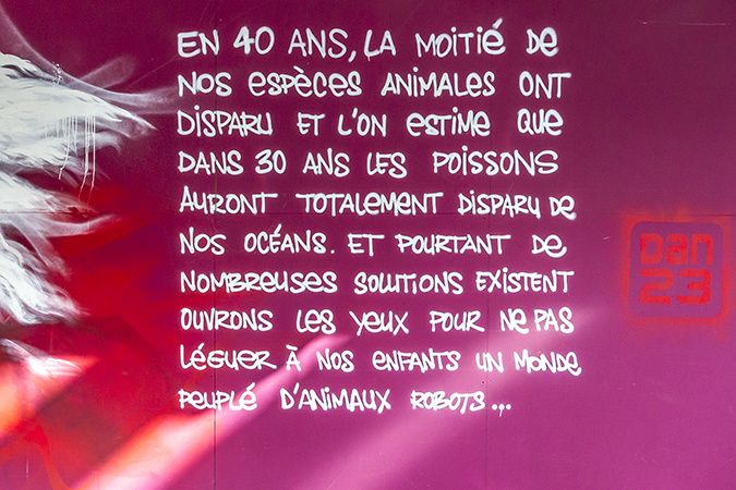 ©Frankyrun
