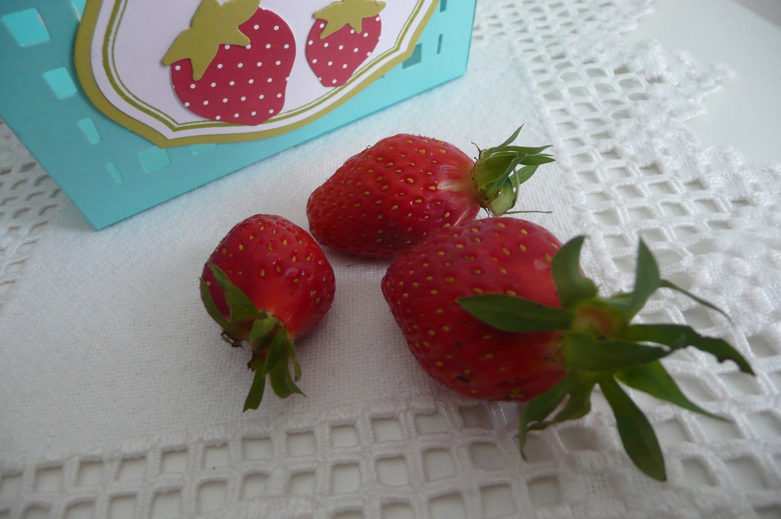 Les fraises ...elles sont de saison !
