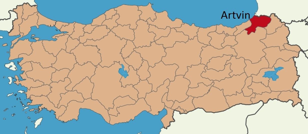 Turkio : Labourstart Kampanjo : Ni subtenu la membrojn de la sindikato, kiuj batalas por savi la arbaron de Cerattepe