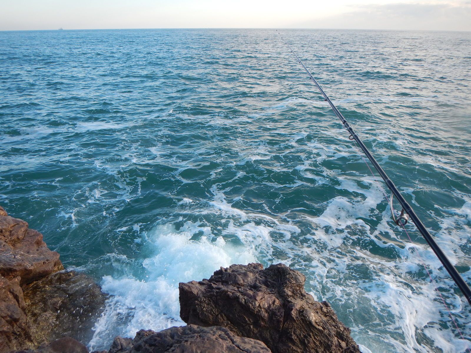 Pêche du calamar du bord - Le blog de rockfishing-game