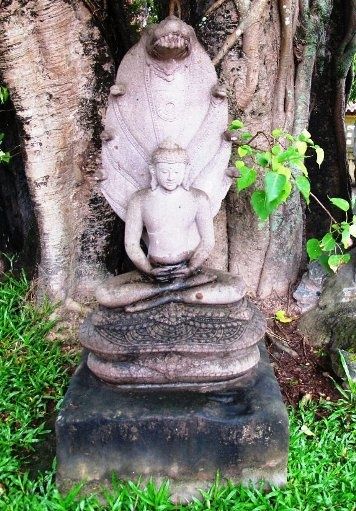 ob_7630de_serpents-bouddha-vietnam.jpg