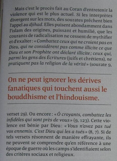 ob_83c1a1_tuez-les-tous-islam-hindou.JPG