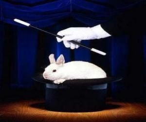 ob_7dbdc1_lapin-chapeau-magicien.jpg