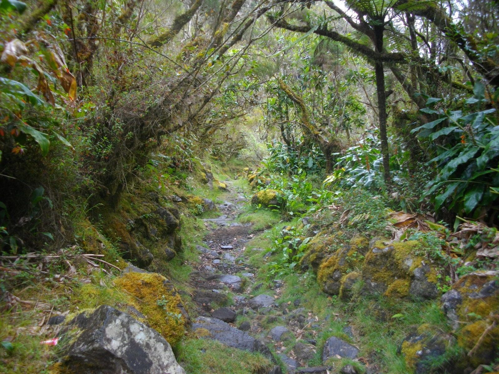 TOUR DU PITON DES NEIGES PAR LES TROIS CIRQUES (3) AmêmelaPlanète