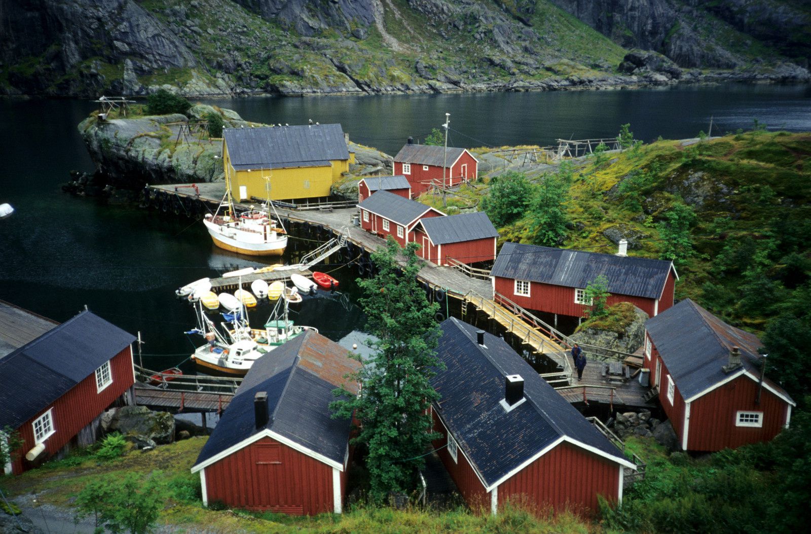 Visite de Nusfjord, superbe mais humide !