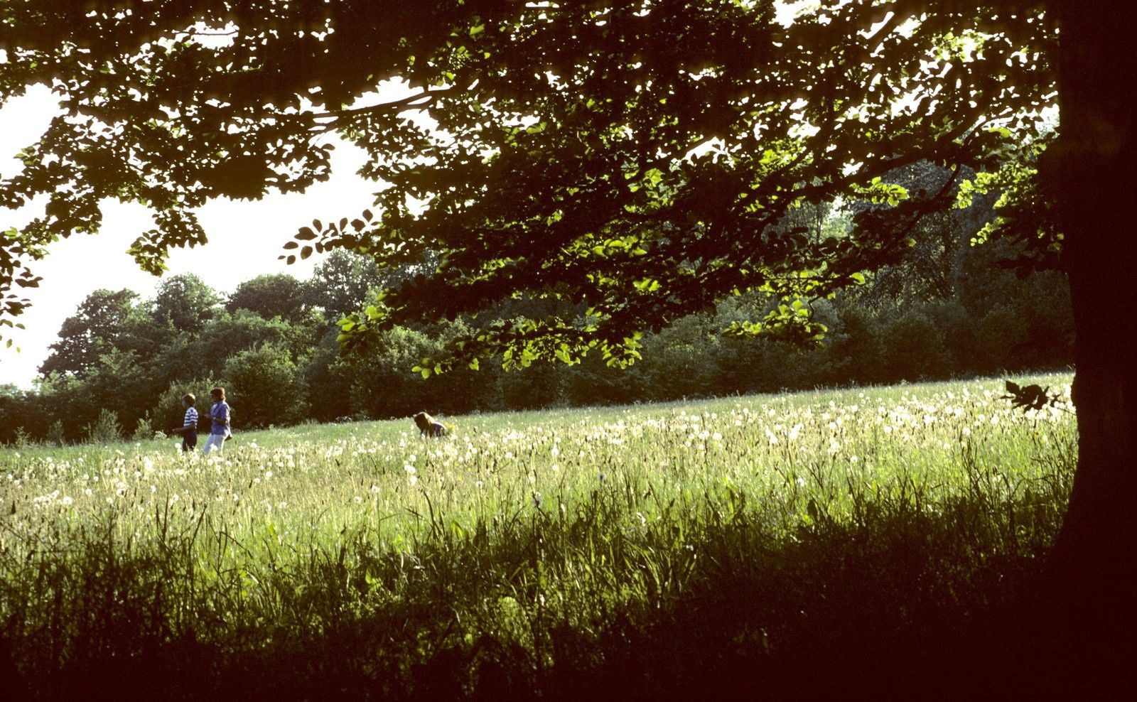 Dames en costumes traditionnels à Falköping