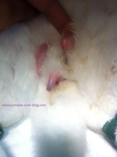 chat sexe haut rhin