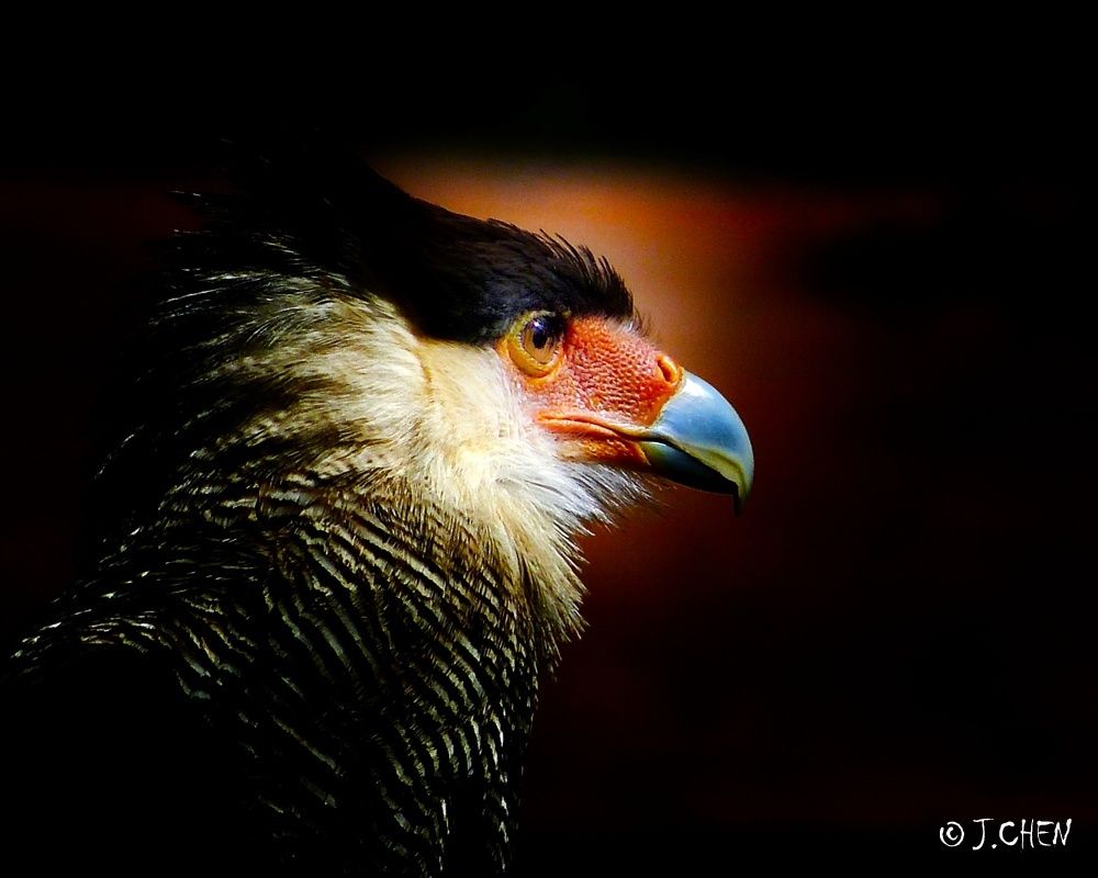 Un jour, un regard...