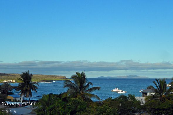 Paysage des Galápagos - île Santa Cruz