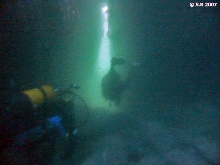 Les grottes du Cap Fréhel