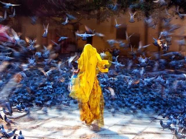 Thich Nhat Hanh:&quot;Notre véritable héritage.&quot;