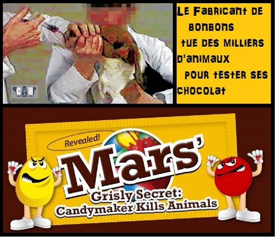 Marques qui (dé)testent (sur) les animaux Protection et défense active des animaux