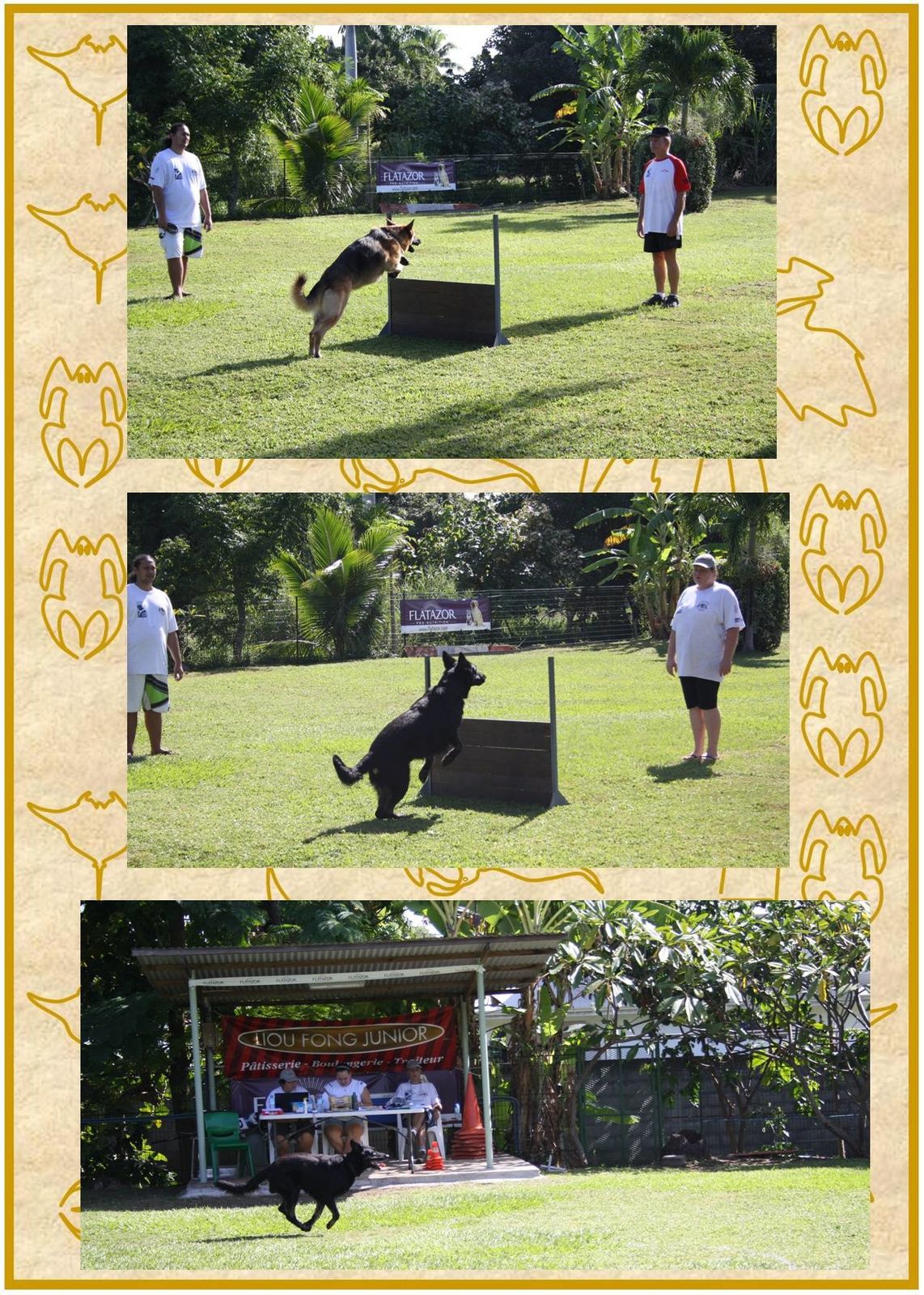 Club rencontre pour chien