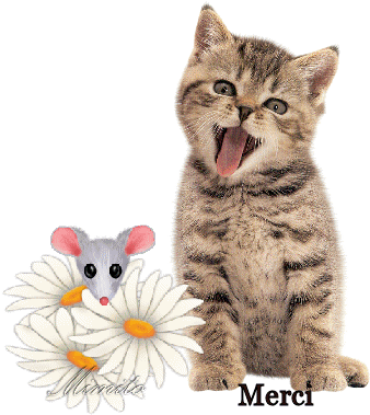 chat oullins