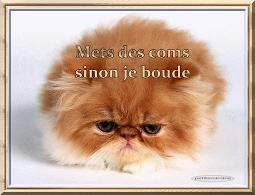 Chat oyonnax