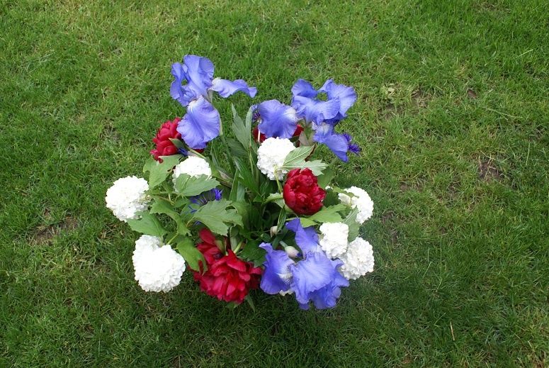 Bouquet Bleu blanc rouge Le blog de Rosacorleone