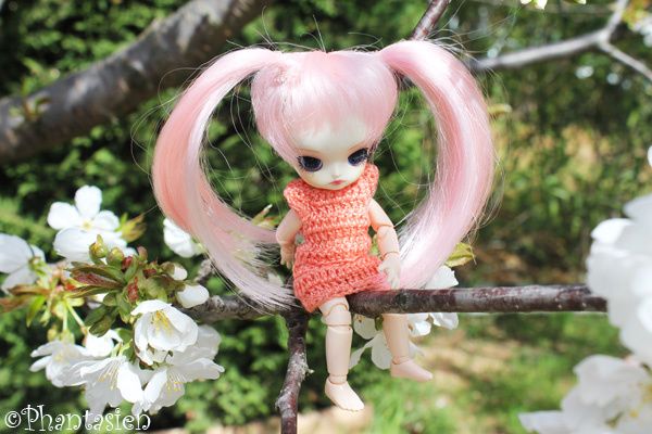 Mon album Flickr