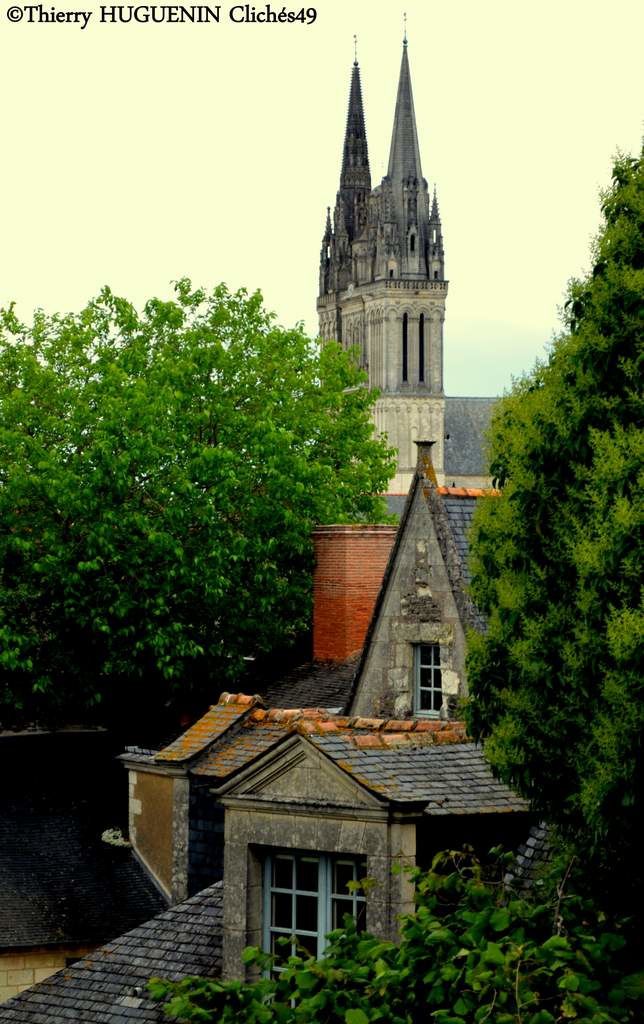 Quelques prise de vues du chateau d'Angers